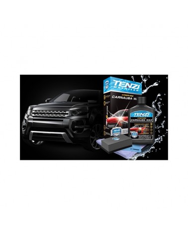 CARNAUBA WAX 0,3L PRODUITS POUR LES VÉHICULES