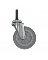 Skapnet ROUE STANDARD 100 mm + bouchon MORGAN 2020  FILMOP