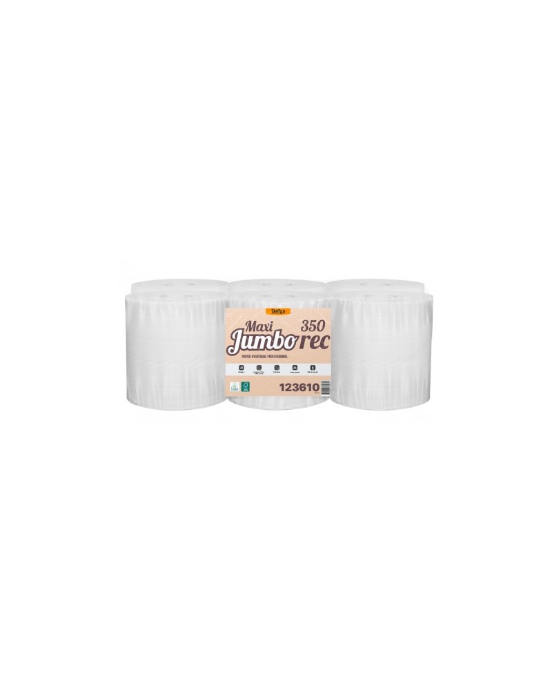 Skapnet PH maxi Jumbo 350m ECOLABEL 2 pl. recyclé blanc - Colis 6 r...