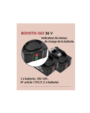 BoostiX IGO avec 2 batteries 5 Ah et chargeur