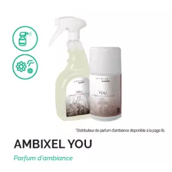 Skapnet SPRAY AMBIENTADOR YOU SPRAY AMBIENTADOR YOU Parfum d’Ambian...