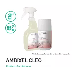 Skapnet SPRAY AMBIENTADOR CLEO SPRAY AMBIENTADOR CLEO Parfum d’Ambi...