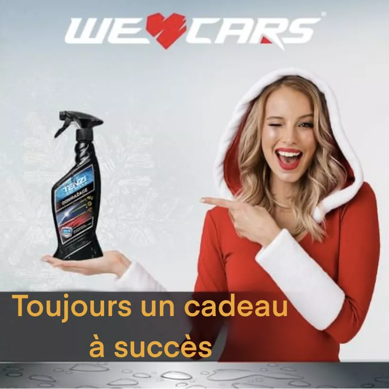 Spray Dégivrant Dunlop 600ml – Finis Les Vitres Gelées En Un Clin D’œil !