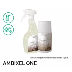 Skapnet SPRAY AMBIENTADOR ONE 4 UDS (SP) SPRAY AMBIENTADOR ONE 4 UD...