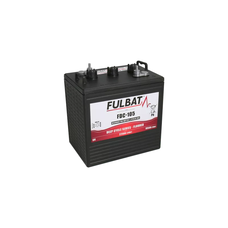 Skapnet Batteries pour autolaveuses 6 Volts 220 Ah Monobloc de 6 Vo...