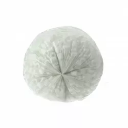 Skapnet Sacs poubelle 10L blanc HD Carton de 1000 sacs poubelles po...