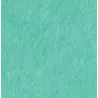 CHIFFONNETTE VERTE FREE-T PQT 10